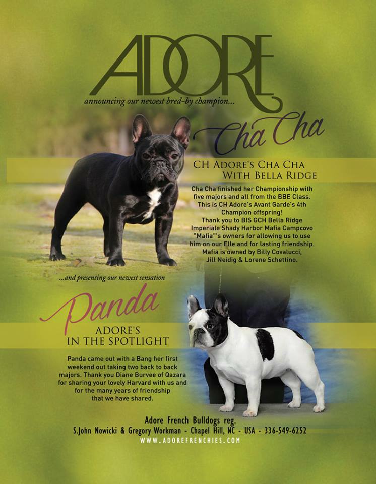 Mercedes Lopez Charro - Frenchie Fashion Dog - STYLE & FASHION - Posters 